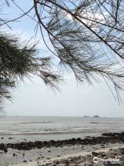 Pantai Remis