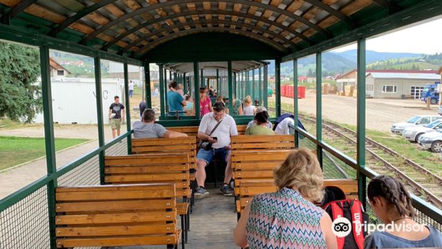 Gara Mocănița Huțulca, Moldovița