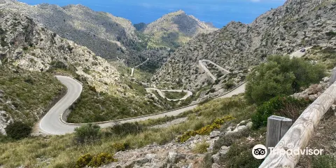Mallorquin-Bikes