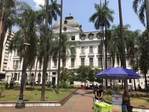 Plaza De Cayzedo