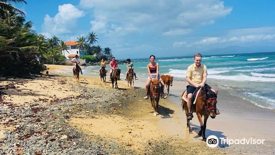 Colon Horseback Riding