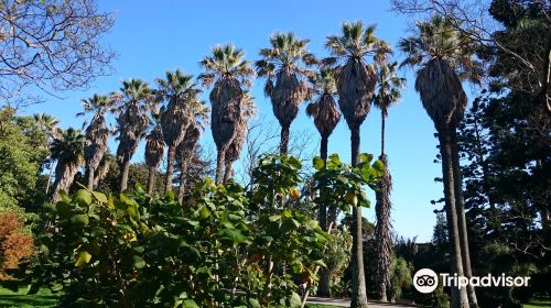 Tropical Botanical Garden