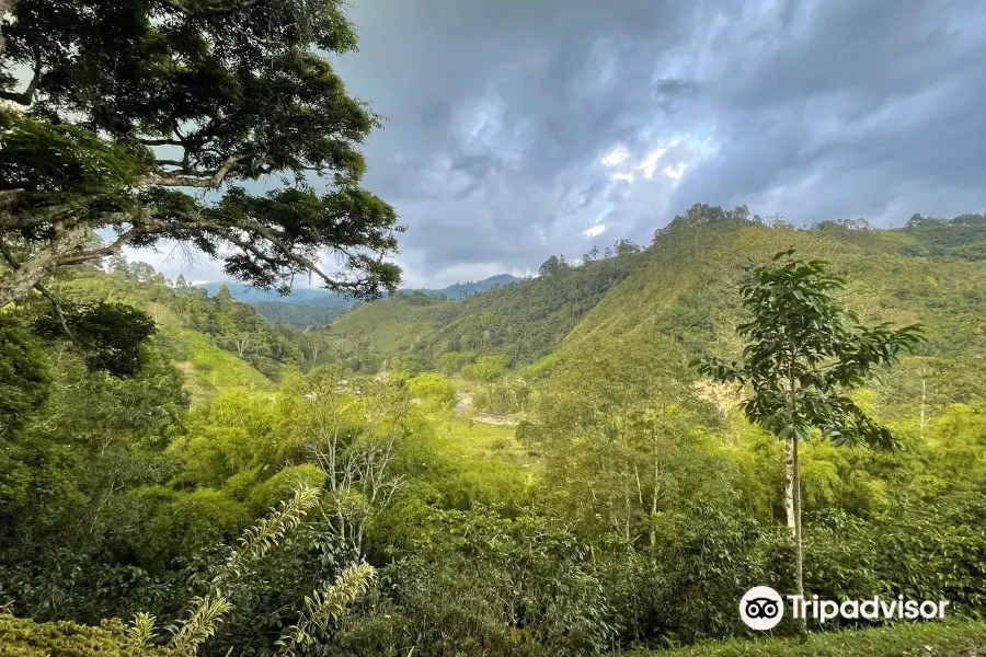 El Recuerdo Finca Cafetera Tradicional