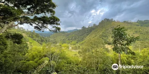 El Recuerdo Finca Cafetera Tradicional