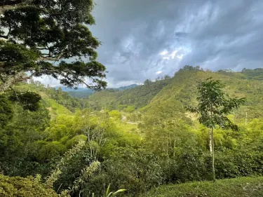 El Recuerdo Finca Cafetera Tradicional
