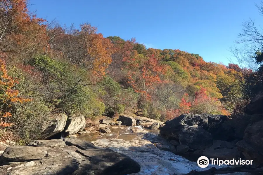 Graveyard Fields Hike & Waterfalls