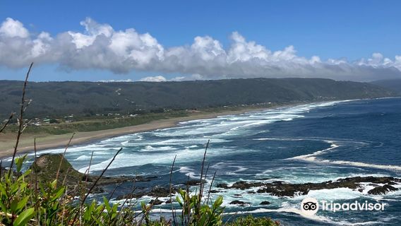 Reserva Punta Curinanco