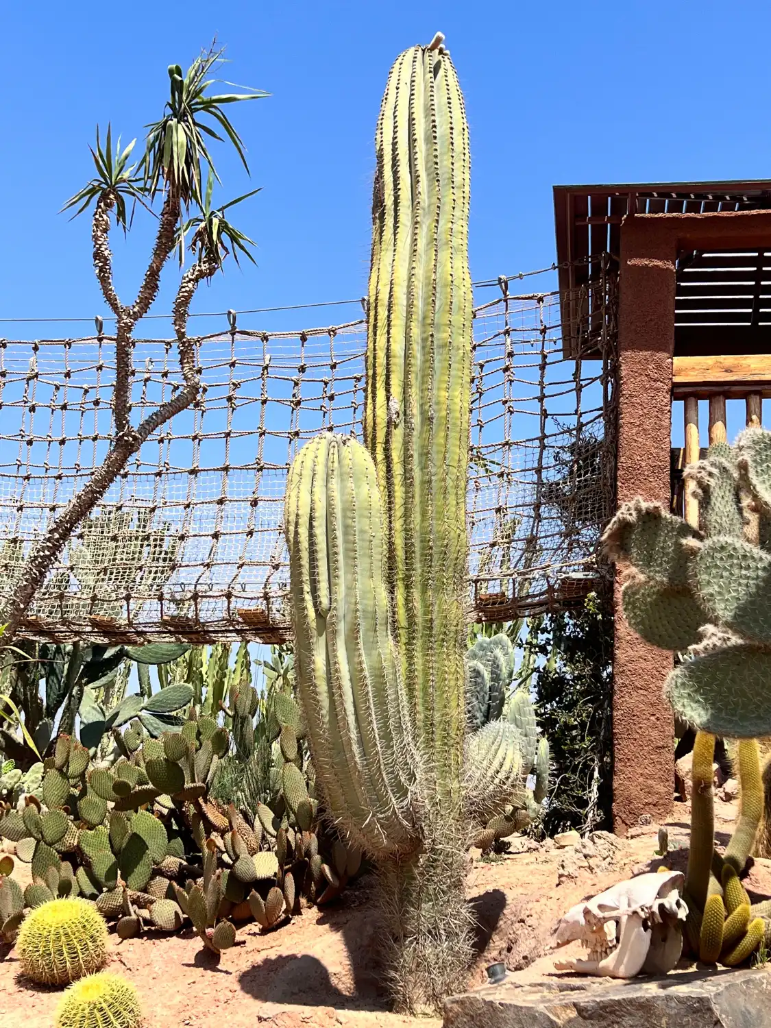 Hotels near Crocoparc Agadir