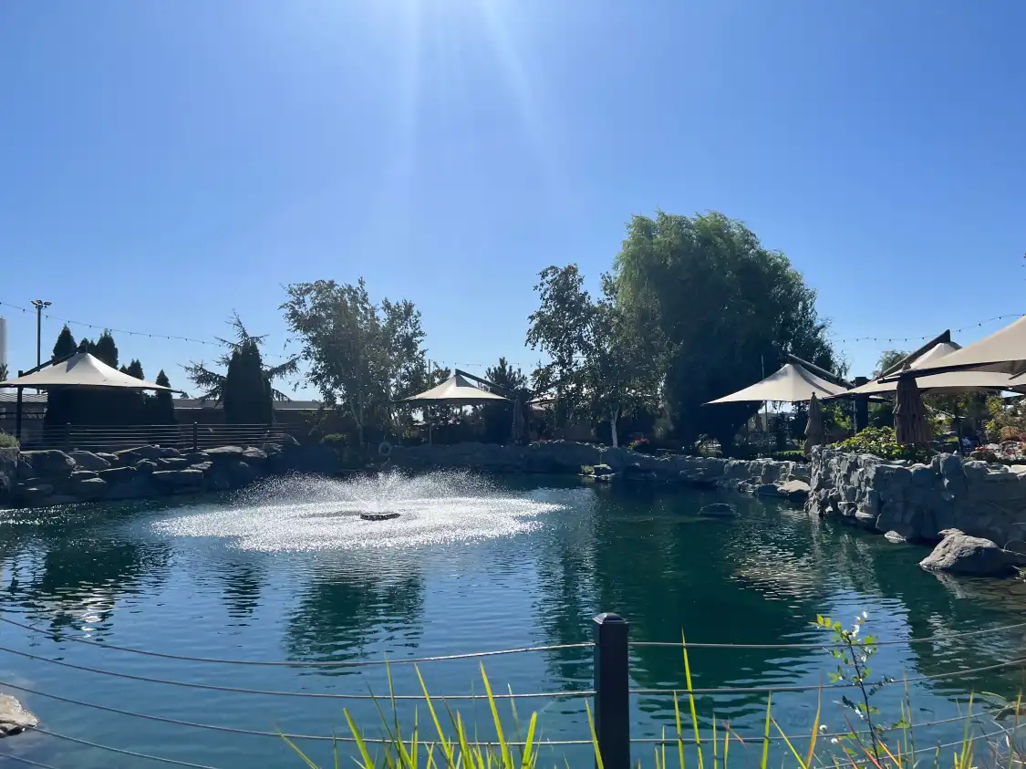 Hotels near Michael David Vineyards