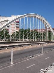 Pont de Calatrava