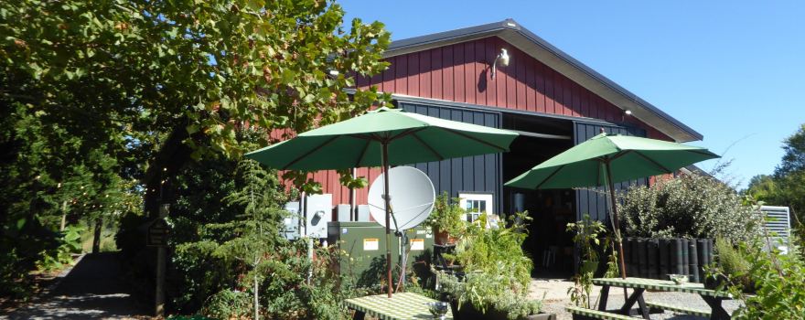 Wilderness Run Vineyards