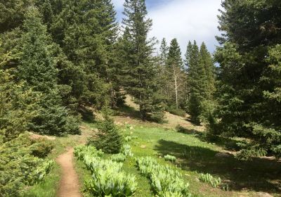 San Pedro Parks Wilderness