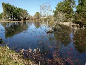 Texas Freshwater Fisheries Center