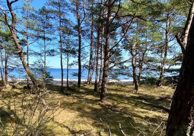 Naturum Trollskogen