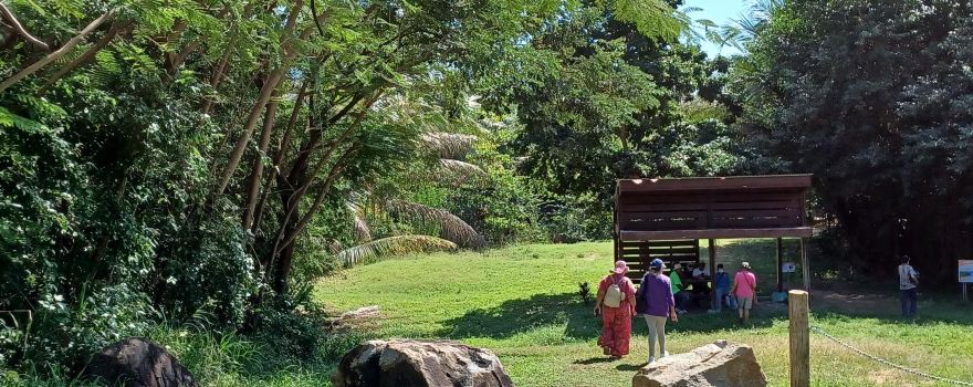 Maunabo