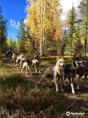 Arctic Husky Farm