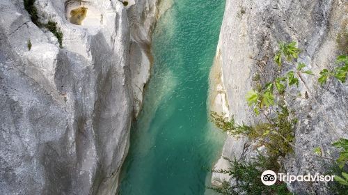 Pont of the Cerise