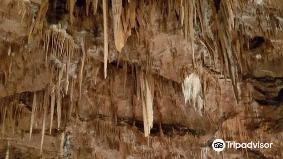 Lokev - Jama VILENICA