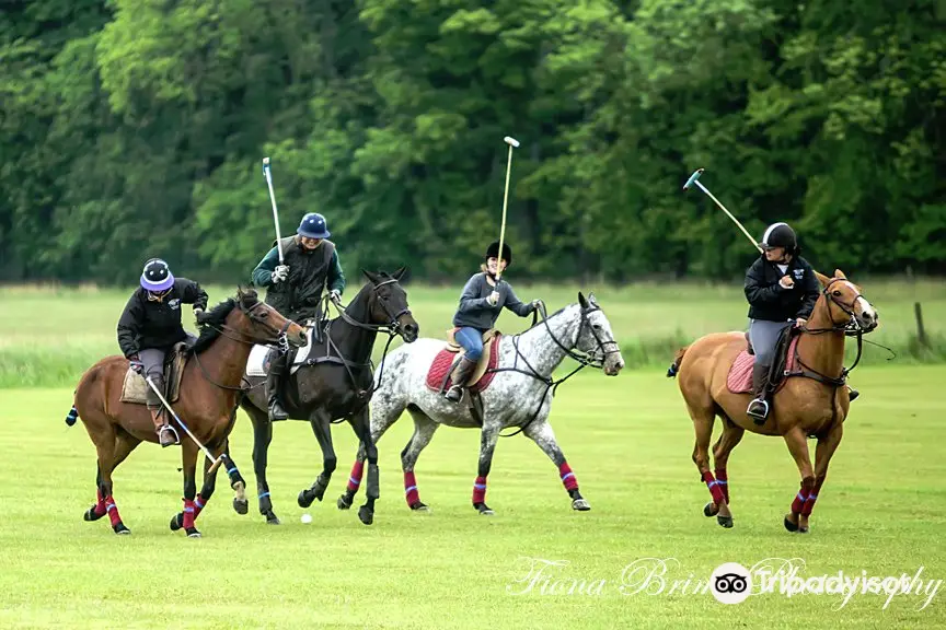 Stewarton Polo Club