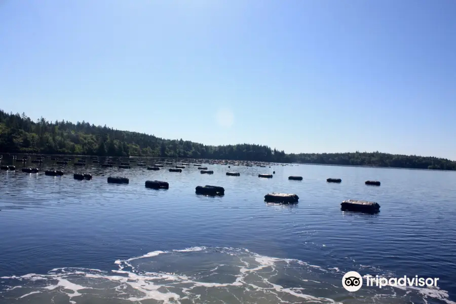 Eel Lake Oyster Farm