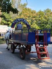 Burley Wagon Rides