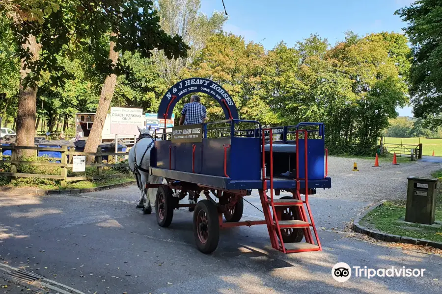 Burley Wagon Rides