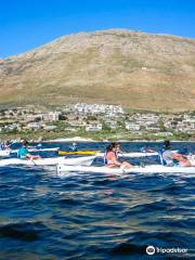 Kayak Cape Town (Simon's Town)