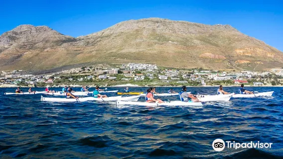 Kayak Cape Town (Simon's Town)