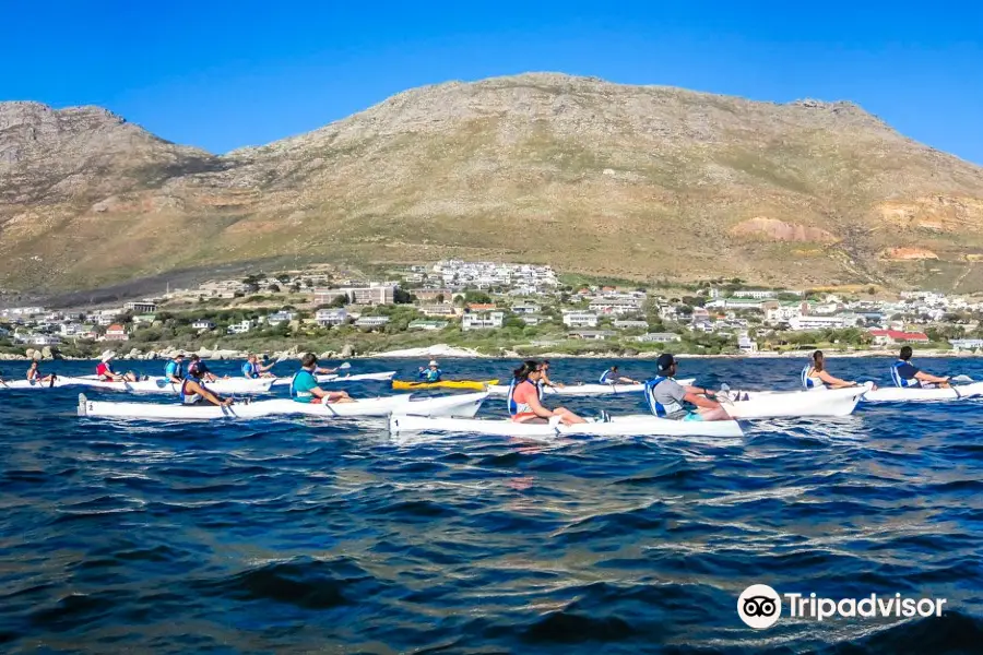 Kayak Cape Town (Simon's Town)