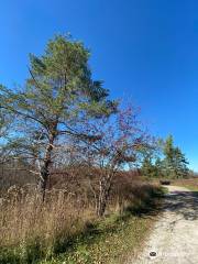 Girdled Road Reservation