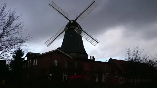 Mühle von Rönn
