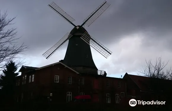 Mühle von Rönn