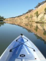 Canoe Adventures - Riverland