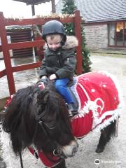 Beaver Hall Equestrian Centre