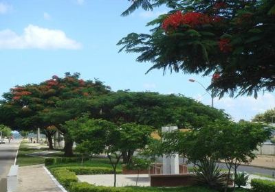 Monumento Jaci Flores