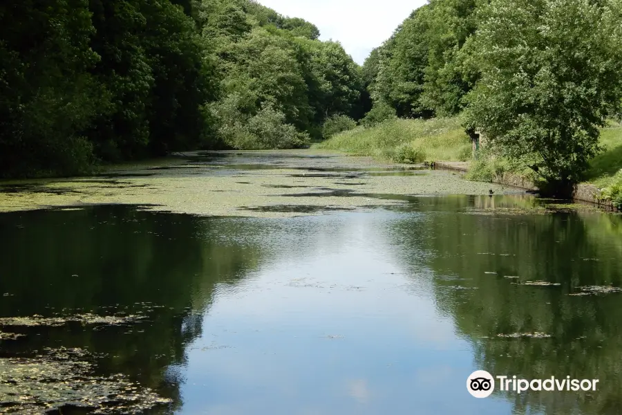 Moss Valley Country Park