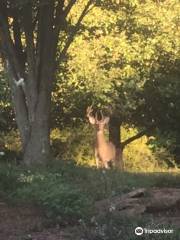 エバンズバーグ州立公園