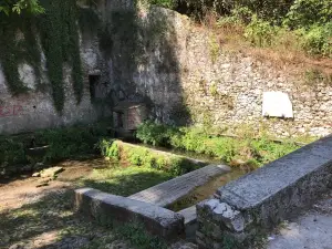 Fonte della Noce