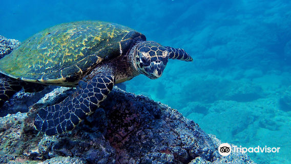 Summer Salt Dive Center