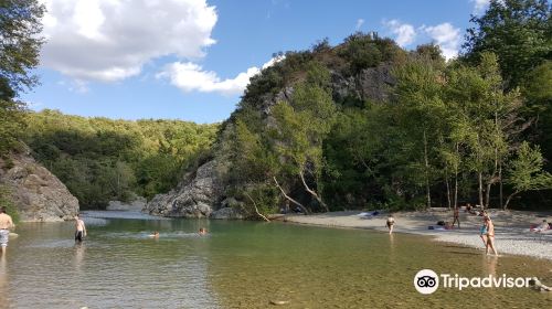 Foresta di Berignone