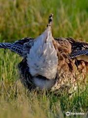 Upper Souris National Wildlife Refuge