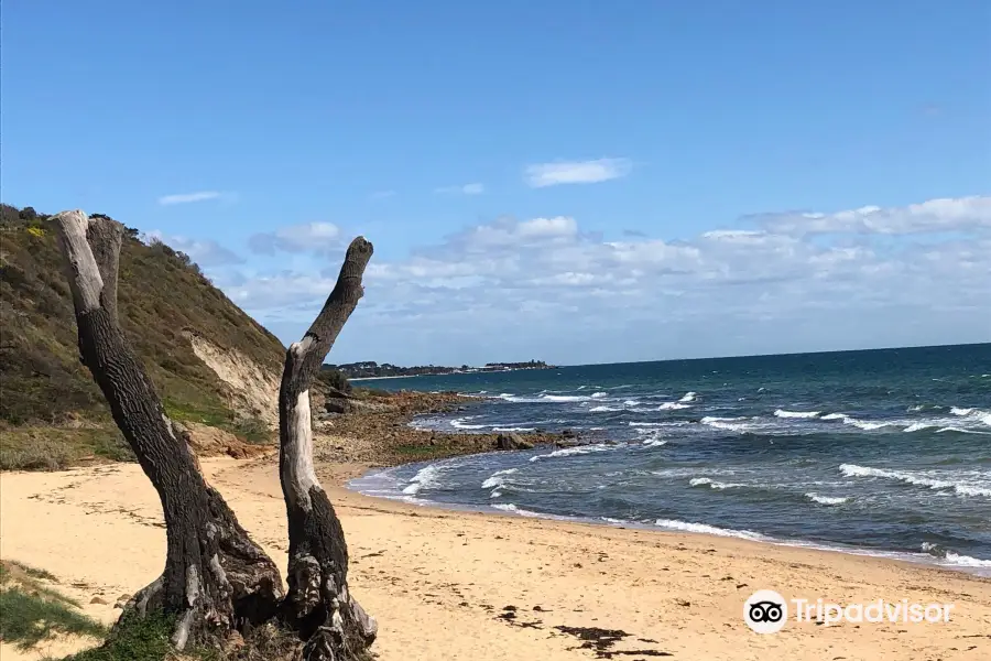 Morning Star Beach