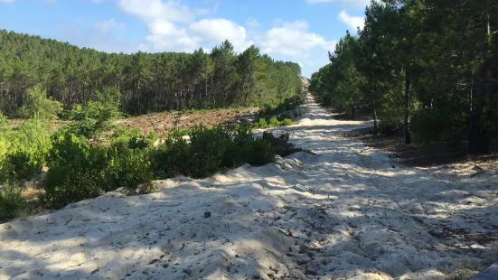 Réserve Naturelle de l'Etang de Cousseau