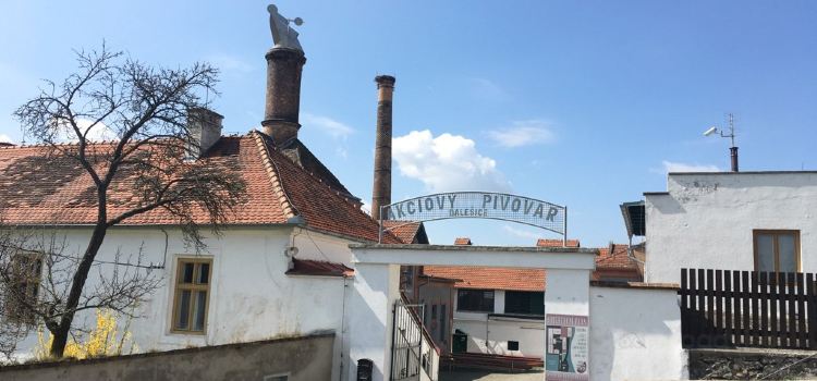 AKCIOVÝ PIVOVAR DALEŠICE, a.s.