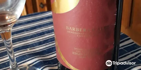 Rigo Vini