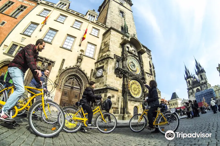 Yellow Zebra Segways & Bikes