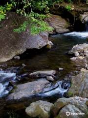 Meenvallam Water Falls