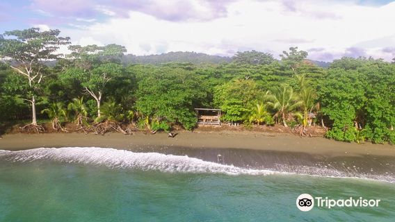 Puerto Jiménez
