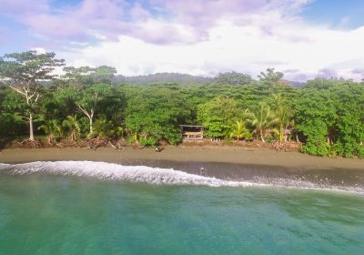 Puerto Jiménez