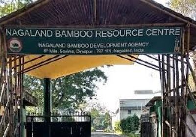 Nagaland Bamboo Resource Centre